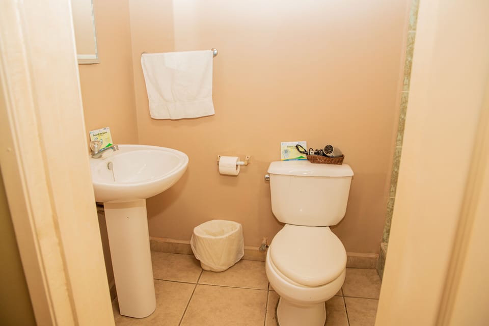 Standard Single Room, 1 Double Bed | Bathroom | Shower, towels, soap, shampoo