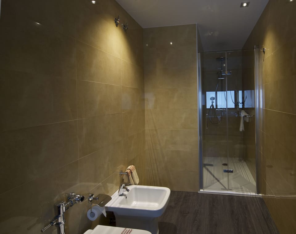 Single Room | Bathroom | Hair dryer, towels