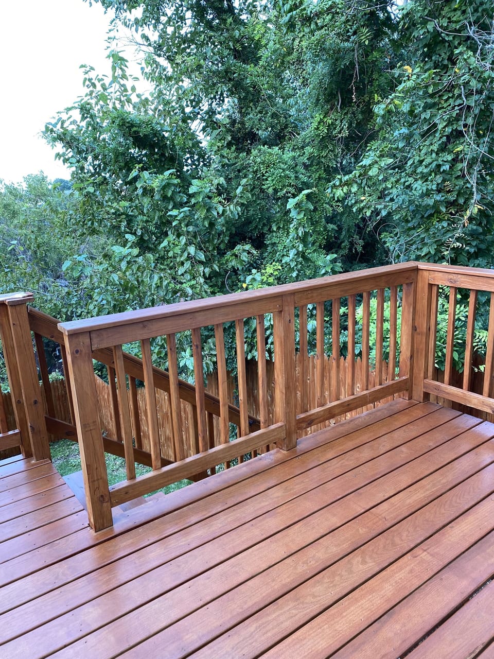 Outdoor space is surrounded by greenery for a bit of beauty and privacy