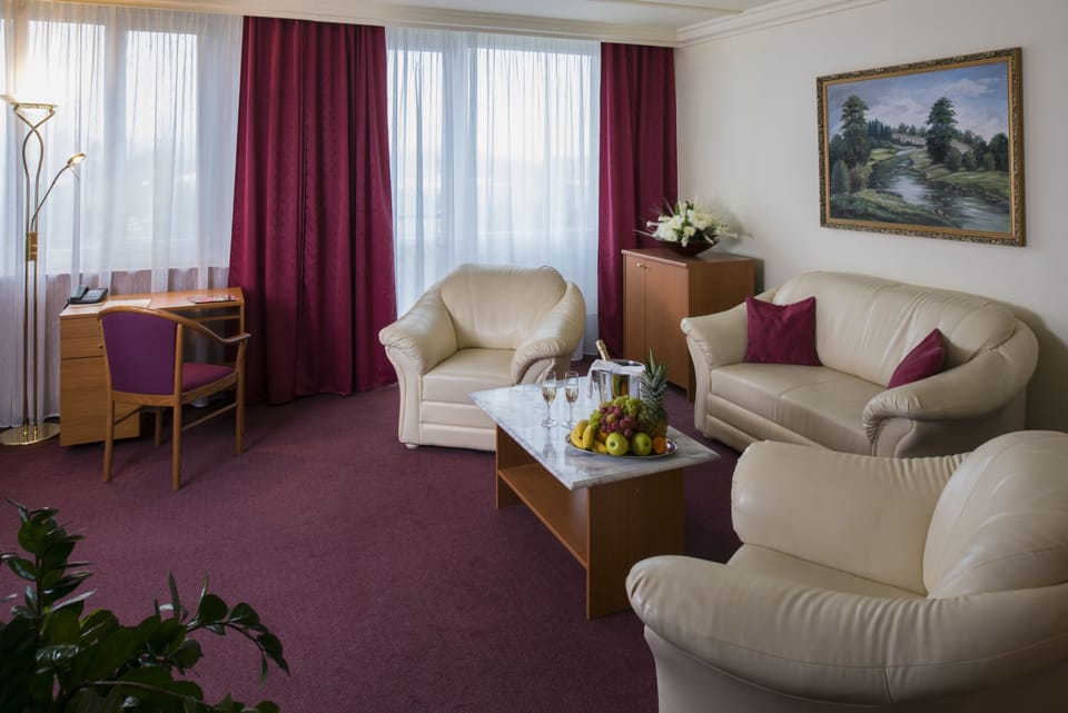 Business Apartment | Living area | TV