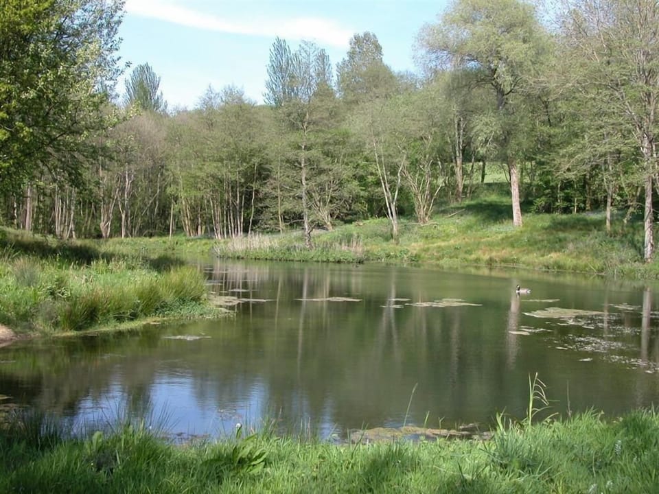 Cottage | Lake