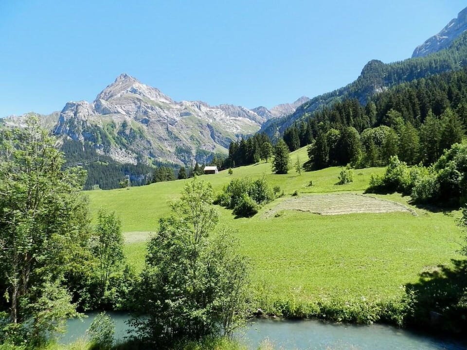 Plant, Sky, Water, Mountain, Ecoregion, Natural Landscape, Natural Environment, Larch, Vegetation, Tree