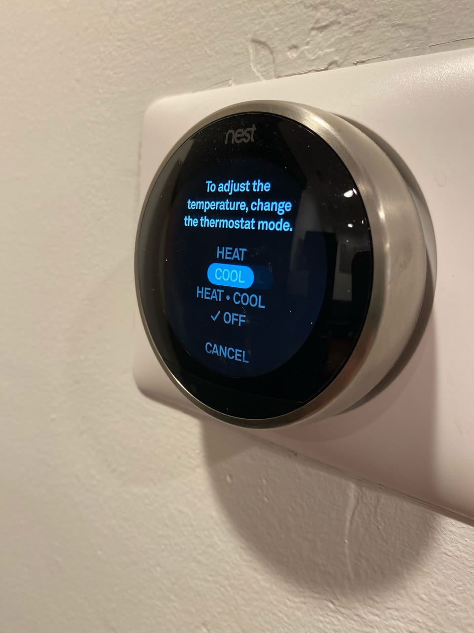Nest 