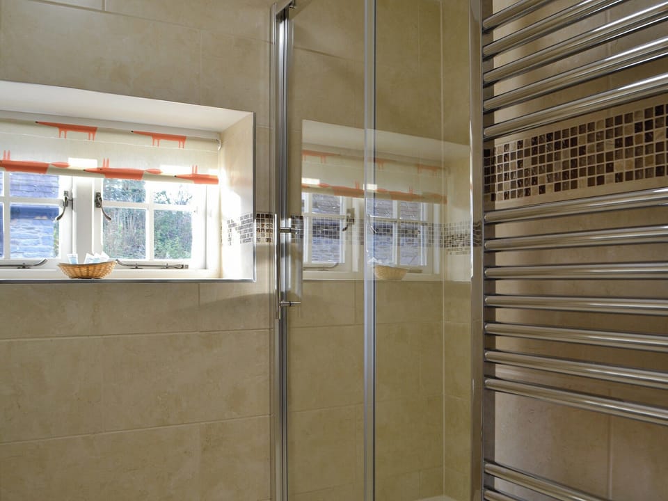 Shower room | The Mill, Tregaron
