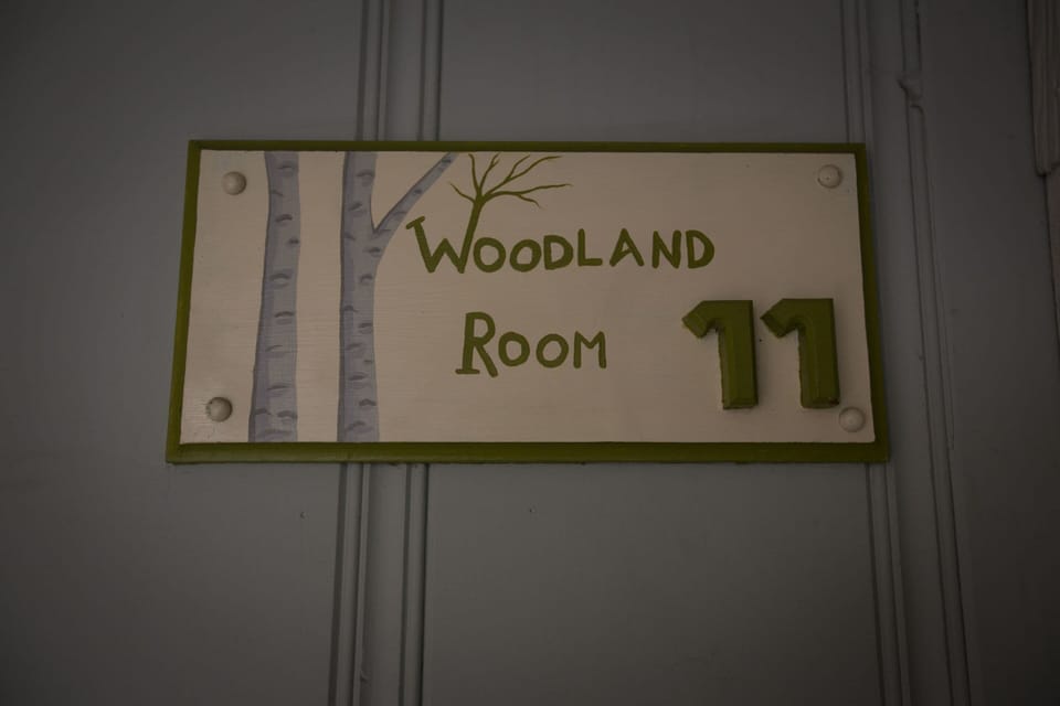 Woodland Room | Individually decorated, iron/ironing board, free WiFi, bed sheets
