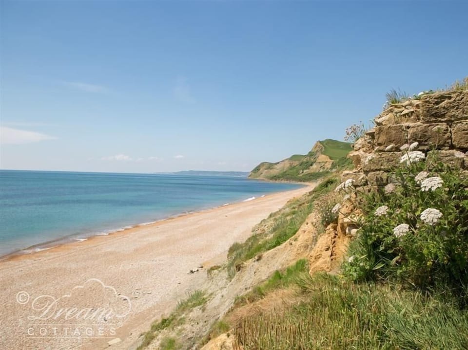 Jurassic View Apartment in West Dorset District