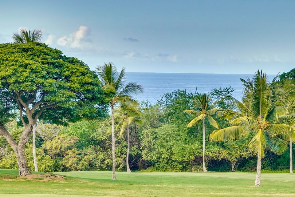 Golf Course Views