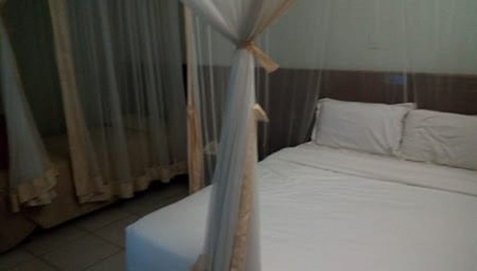 Deluxe Double Room | Desk, laptop workspace, blackout drapes, free WiFi