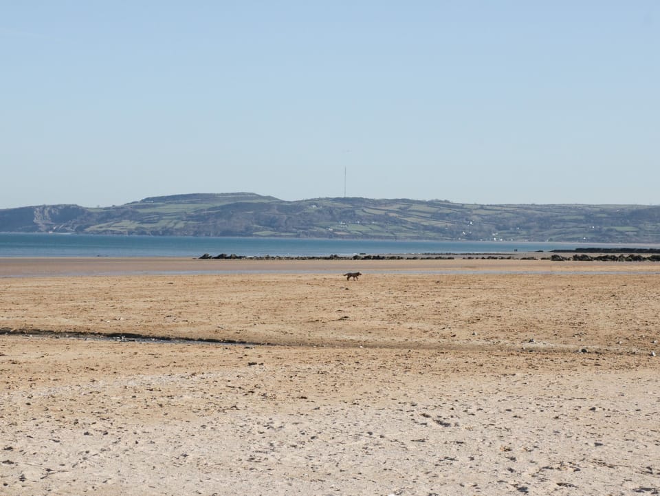 Bay View Cottage in Wales