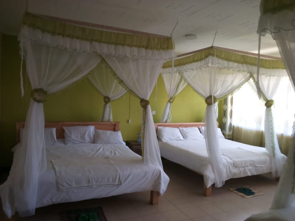 Double or Twin Room | Free WiFi