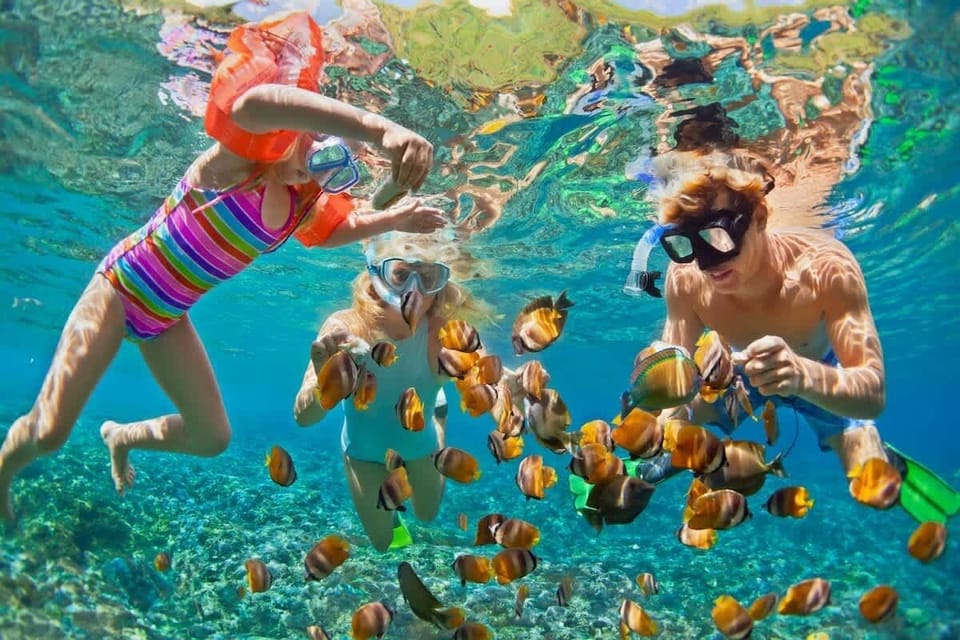 You'll love snorkeling on Kauai