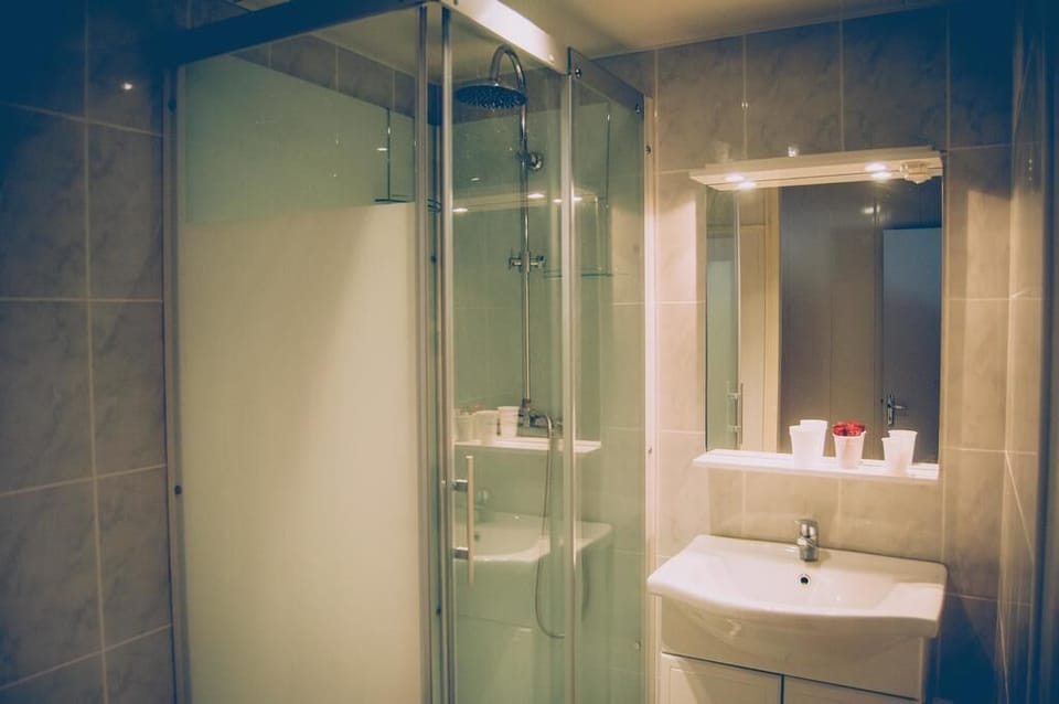Comfort Double Room | Bathroom | Shower, free toiletries, hair dryer, towels