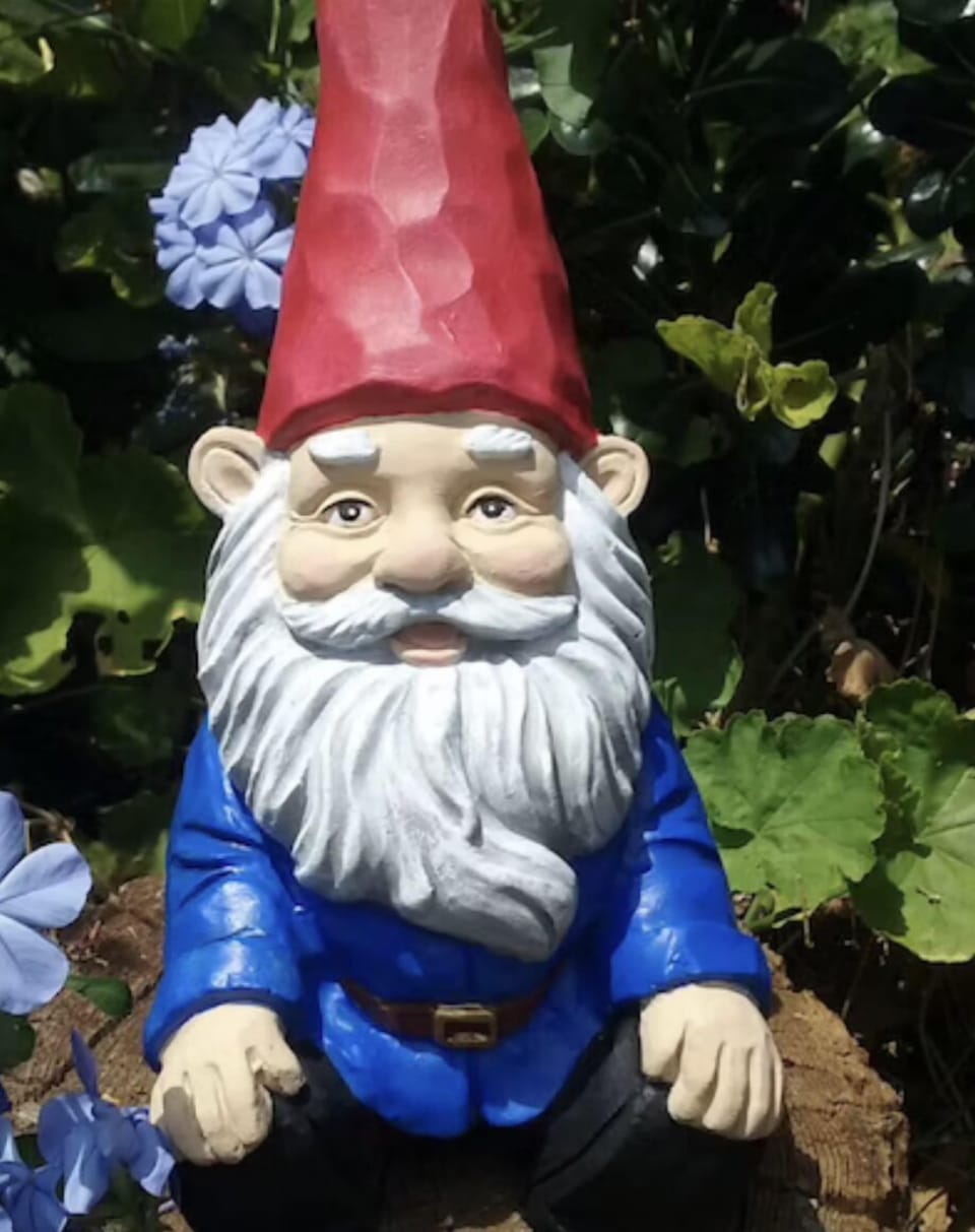 Go on a scavenger hunt to find 9 gnomes, and 2 homes hiding in the trees!