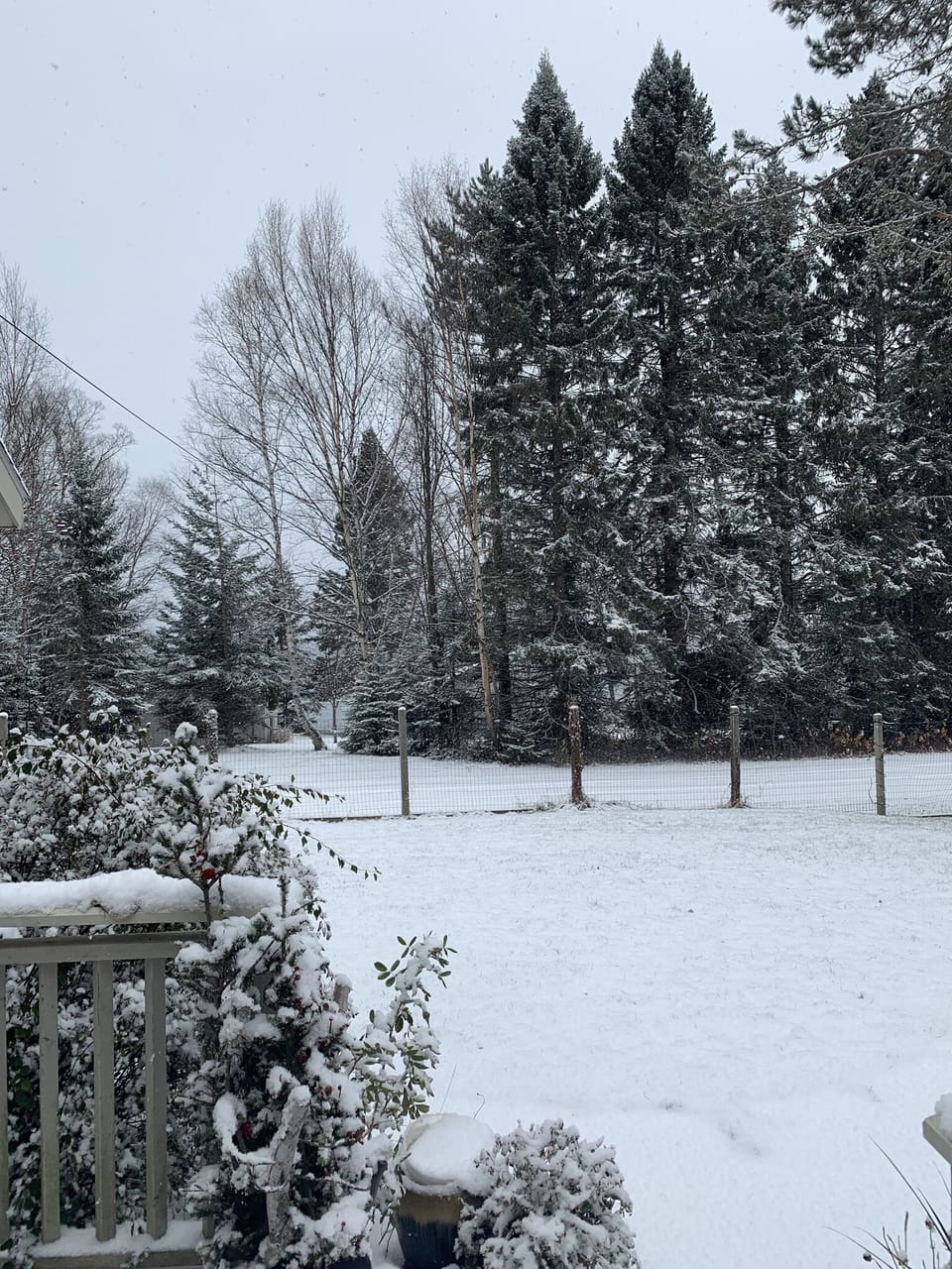 Even in winter it’s gorgeous!
