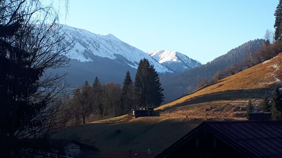 View from property
