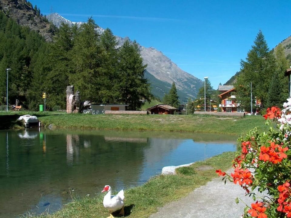 Water, Plant, Sky, Mountain, Water Resources, Flower, Nature, Natural Landscape, Tree