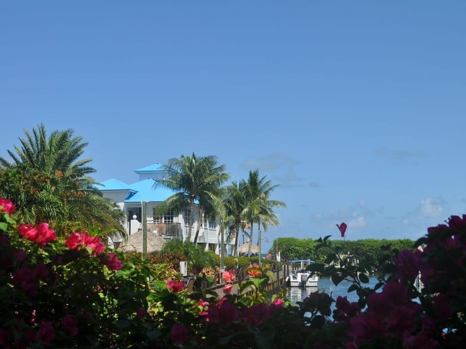View of Oceanfront Cafe- Planter's Point Cafe