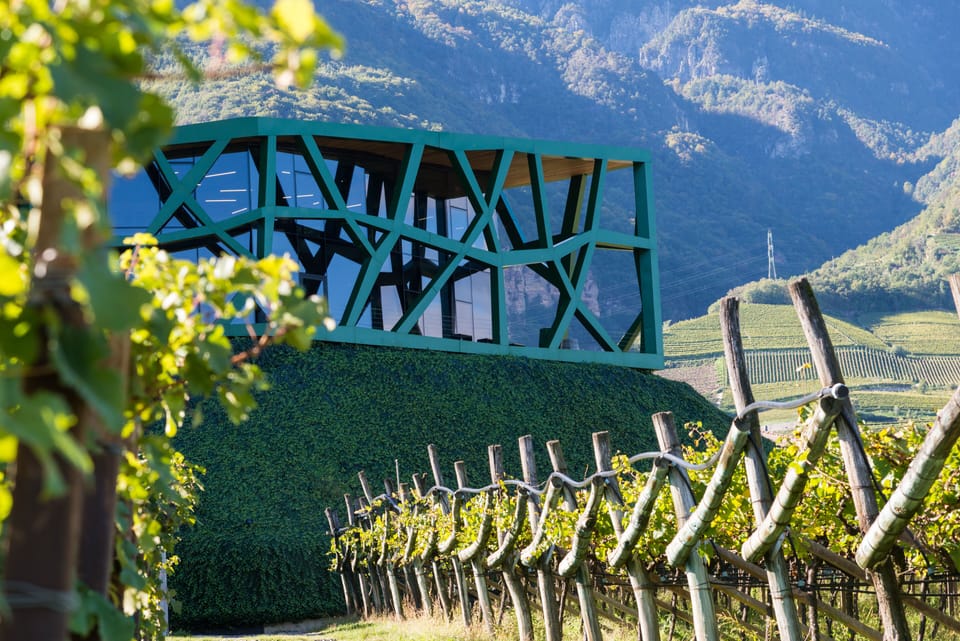 Vineyard