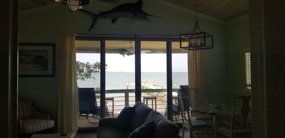 View from living room 