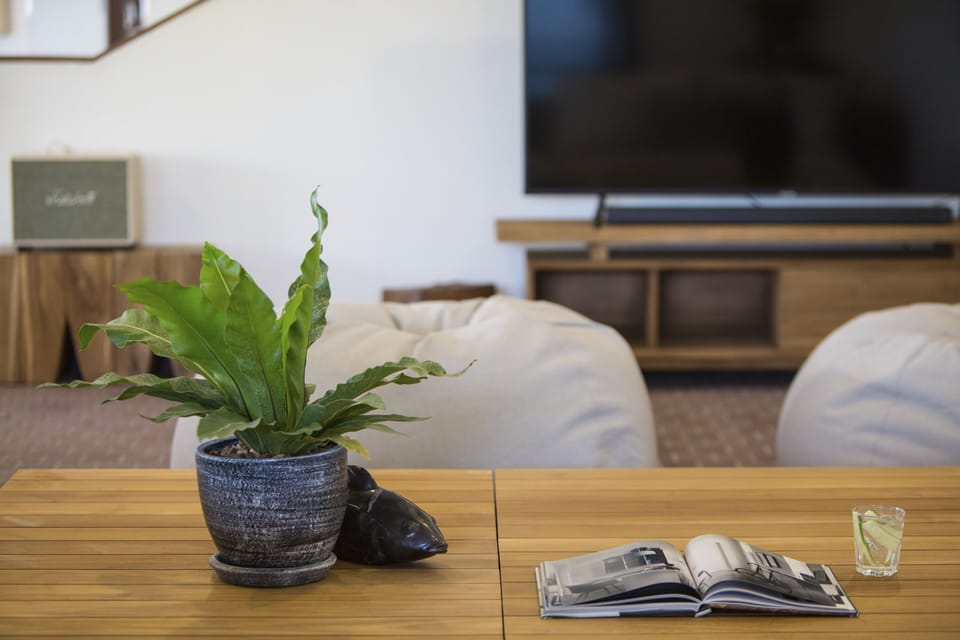 Deluxe Villa | Living area | Flat-screen TV, table tennis
