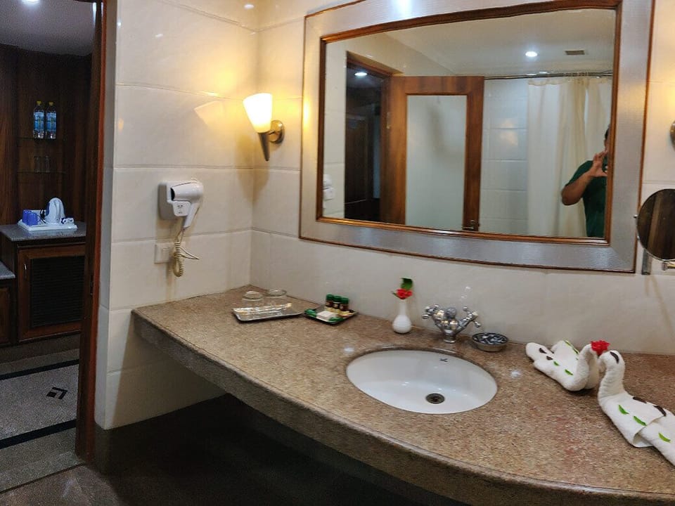Suite Double Room | Bathroom | Hydromassage showerhead, free toiletries, towels