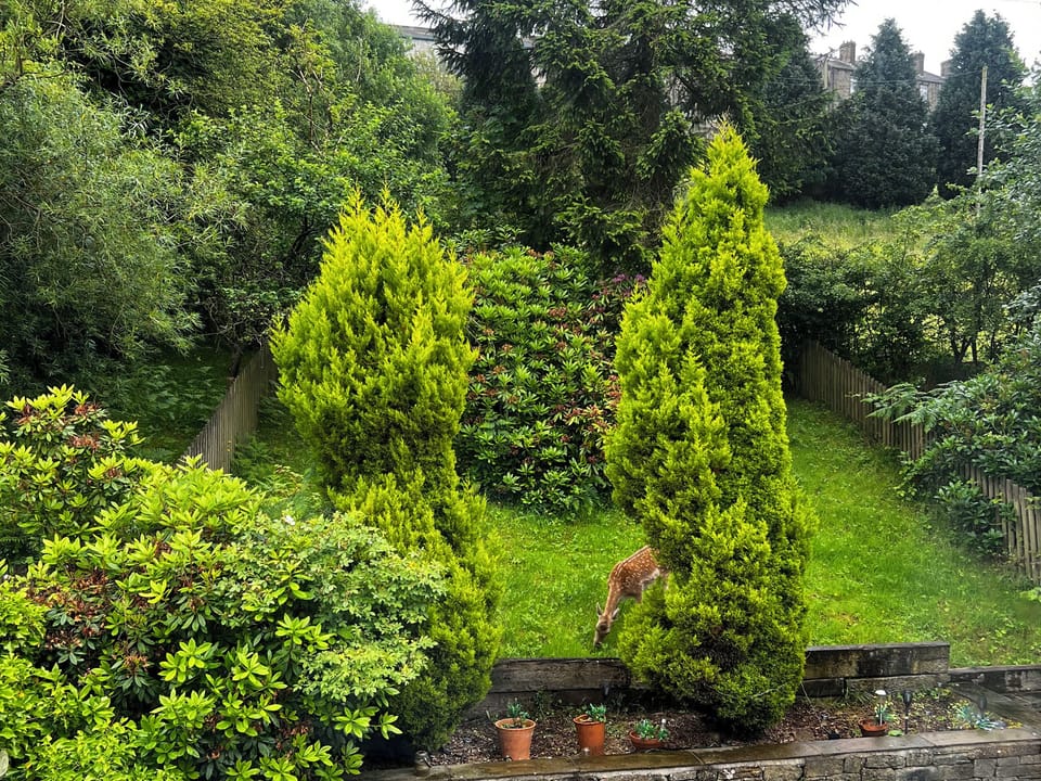 Cottage | Property grounds