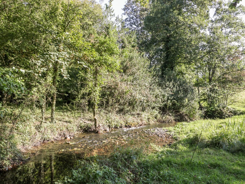 Cottage | Property grounds