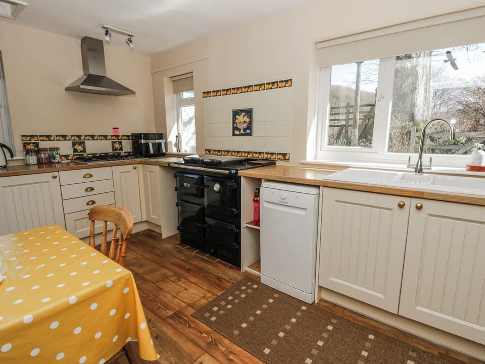 Fridge, stovetop, dishwasher, electric kettle