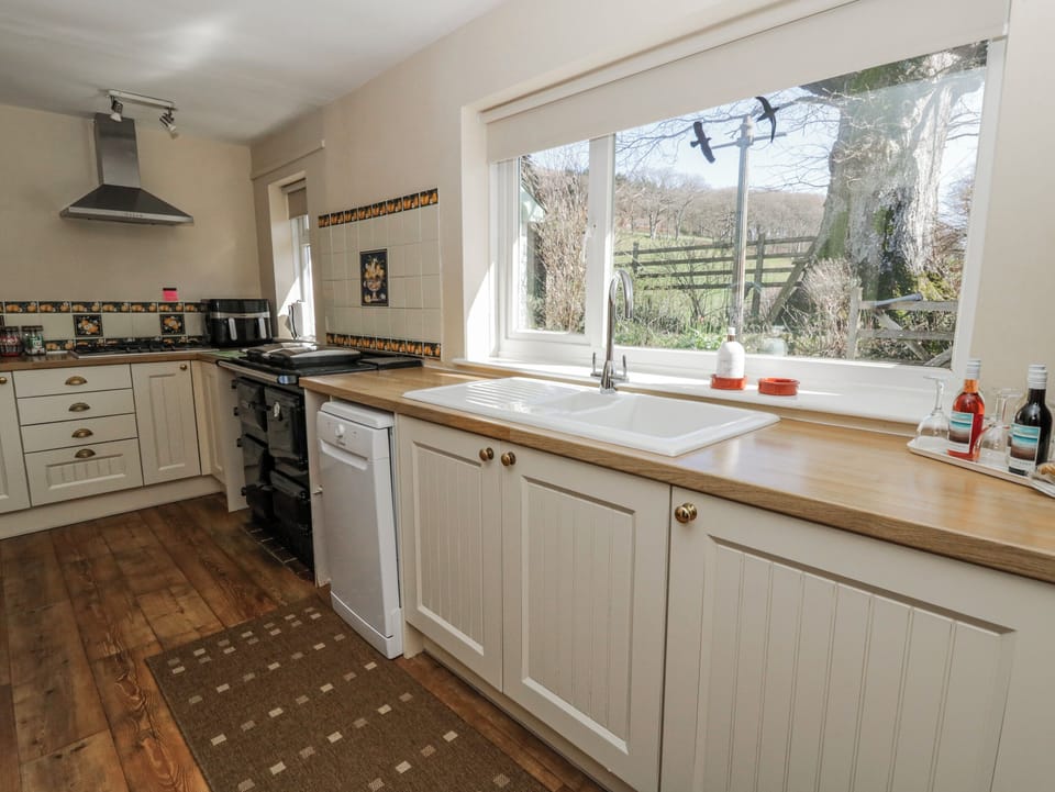 Fridge, stovetop, dishwasher, electric kettle