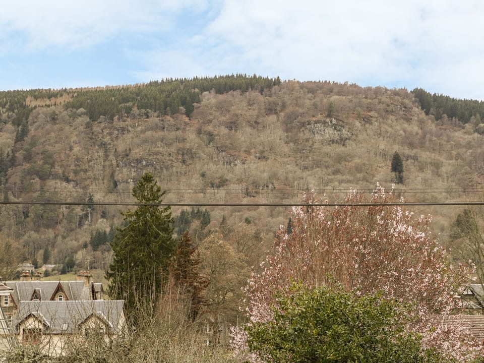 Cottage | Property grounds