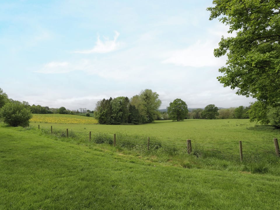 Cottage | Miscellaneous