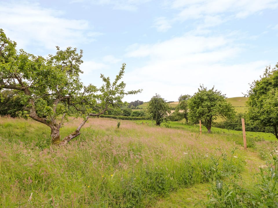 Cottage | Property grounds