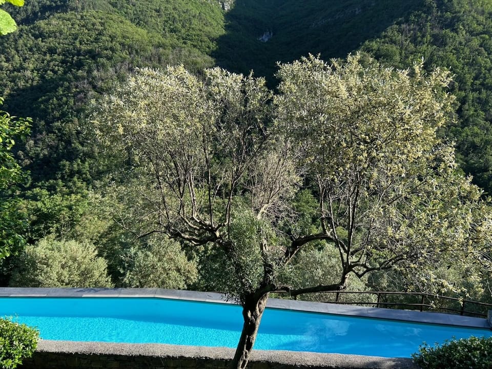 House | Pool | Outdoor pool