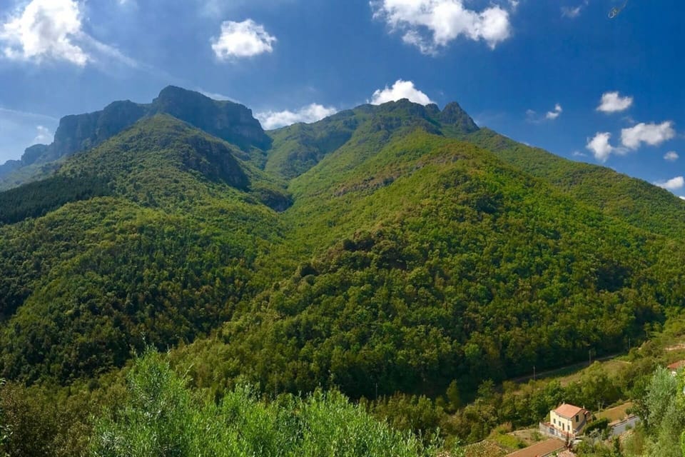 House | Mountain view