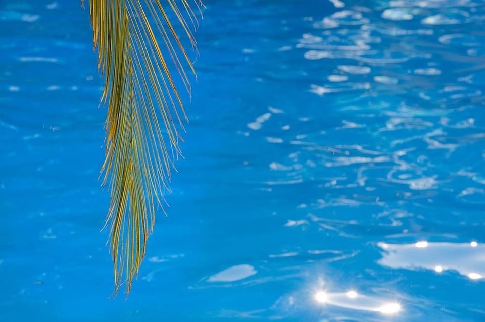 Outdoor pool, pool umbrellas