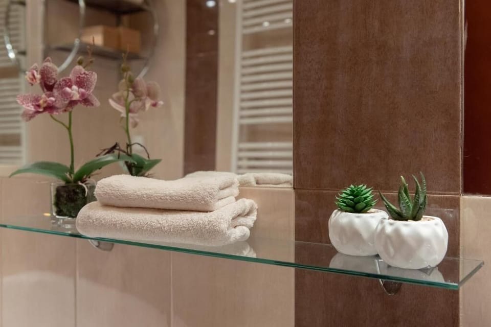 Standard Apartment | Bathroom | Shower, hair dryer, towels