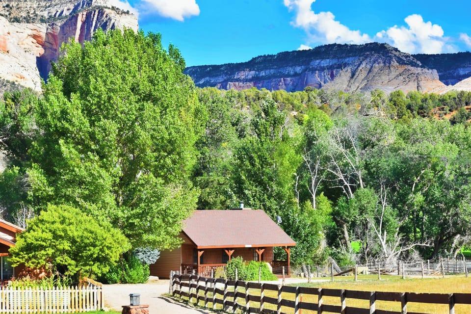 Premium Cabin (Cottonwood Cabin) | Premium bedding, individually decorated, individually furnished