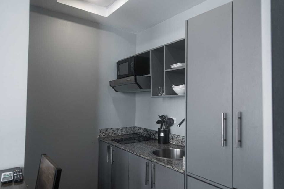 Studio, 1 Full Bed, Kitchen, City View (Studio Apartment) | Private kitchen | Coffee/tea maker, dishwasher, cookware/dishes/utensils