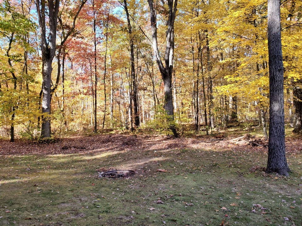 Large backyard with Fire Pit