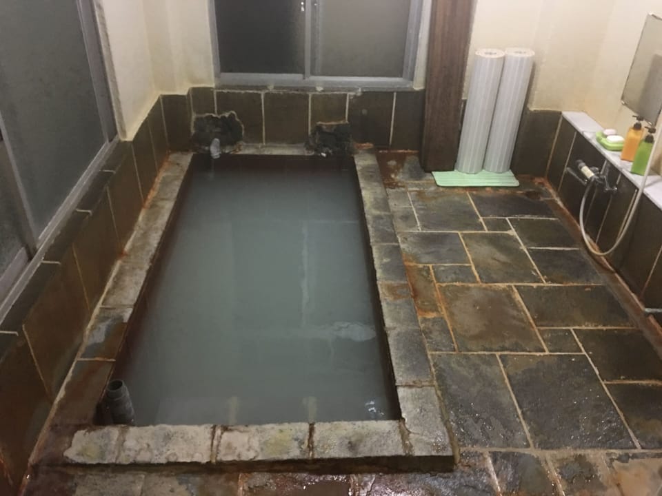 Separate tub and shower, free toiletries, hair dryer, bidet