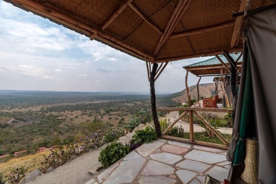 Tent (Safari Tent) | Terrace/patio