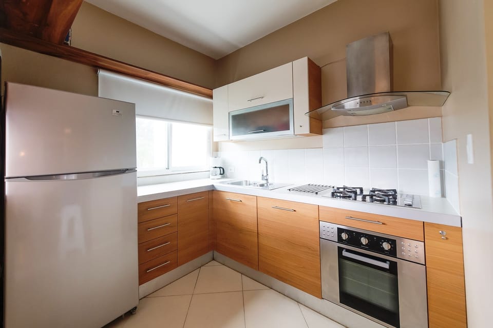 European kitchen - full size fridge, gas stove/oven, microwave, blender, toaster