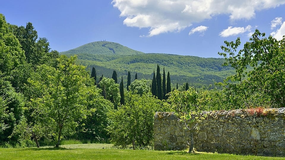 Apartment, 3 Bedrooms | Mountain view