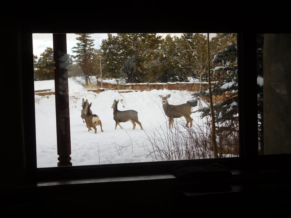 Howdy, neighbors! Bit chilly, eh?