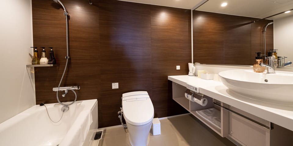 Combined shower/tub, free toiletries, hair dryer, slippers