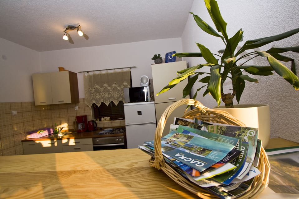 House | Private kitchen | Fridge, microwave, oven, stovetop
