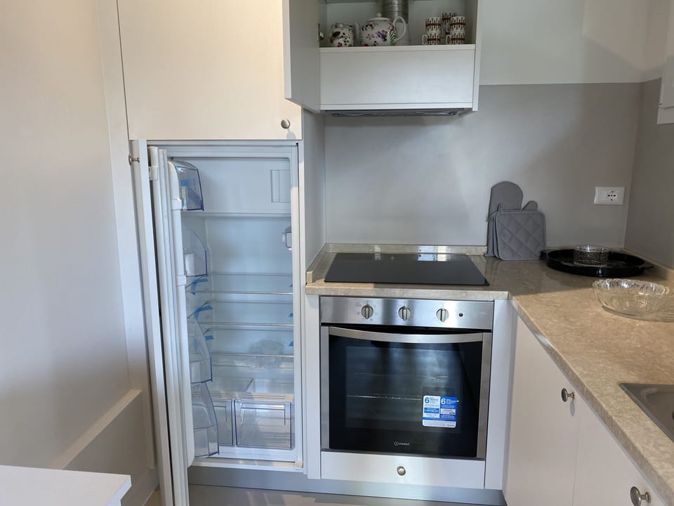 Fridge with freezer, electric oven and induction cooker
