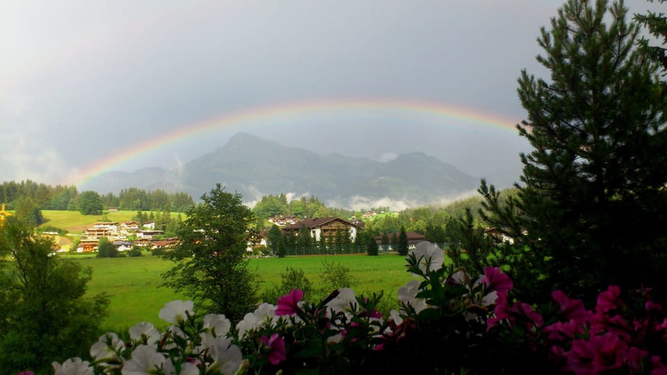Mountain view
