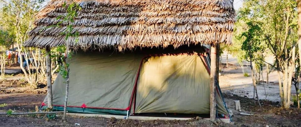 Tent | Terrace/patio
