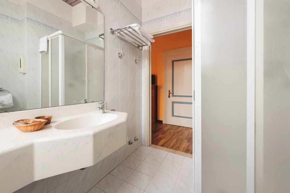 Hair dryer, bidet, towels